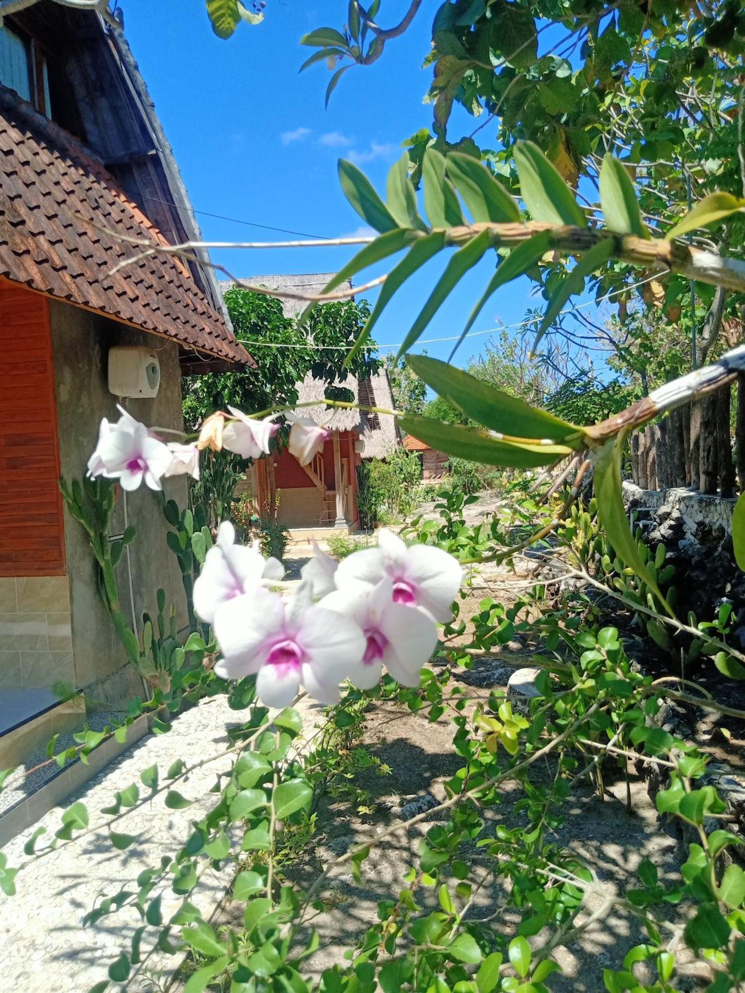 The Somayan Bungalows Batununggul Buitenkant foto